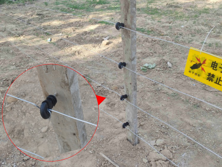 畜牧電子圍欄讓農作物不被“野豬”破壞